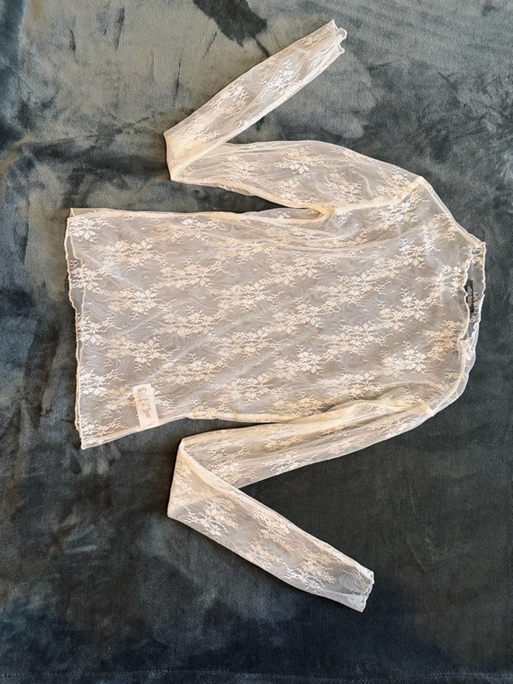 wild fable Lace Long Sleeve Sheer Top in Ivory